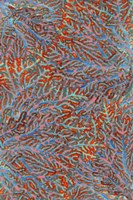 Sea Creatures Surface Pattern 2 Framed Print