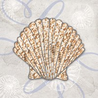 Sea Side Gypsy - Shell Fine Art Print