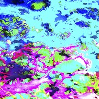 Bright Scarf 2 Fine Art Print