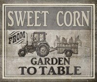 From Garden to Table Fine Art Print