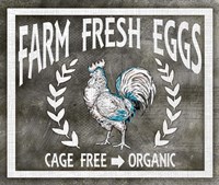 Farm Sign Eggs Fine Art Print