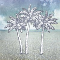 Beach Signs PalmTrees Fine Art Print