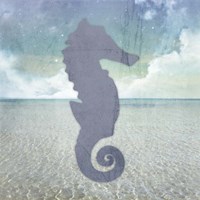 Beach Signs SeaHorse Fine Art Print
