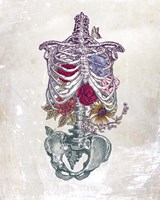 Flowers From Within Fine Art Print