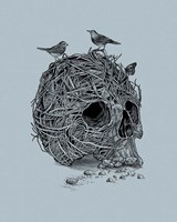 Skull Nest Fine Art Print