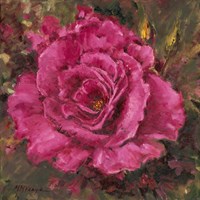 A Rose is a Rose Fine Art Print