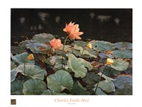 Lotus by Charles Emile Heil - 32" x 24"