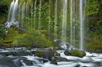 Mossbrae Falls Fine Art Print