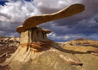 NM Ah-shi-sle-pah King Of Wings Fine Art Print