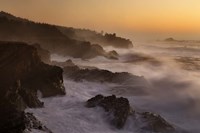 Oregon Shore Acres SP Dusk Fine Art Print
