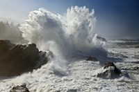 Oregon Shore Acres SP Wave Fine Art Print