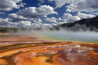 Prismatic Springs Fine Art Print
