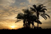 Sunrise Experinemt Fine Art Print