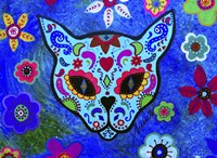 El Gato Face Meow Fine Art Print