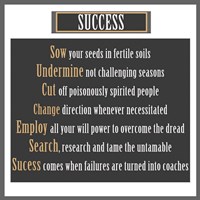 Success Fine Art Print