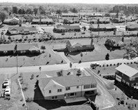 1950s 1960s Aerial View Of Suburban Housing Fine Art Print