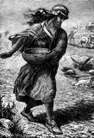 Drawing Of Ancient Middle Eastern Farmer Fine Art Print