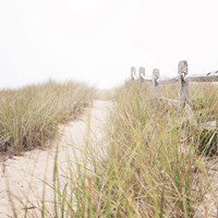 To the Beach Fine Art Print