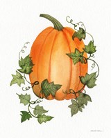 Pumpkin and Vines IV Fine Art Print