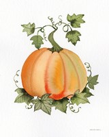 Pumpkin and Vines II Fine Art Print