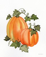 Pumpkin and Vines I Fine Art Print