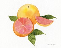 Citrus Garden X Framed Print