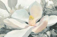 Majestic Magnolia Green Gray Crop Fine Art Print