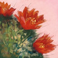Blooming Succulent IV Fine Art Print