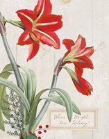 Joyful Tidings I on Wood Fine Art Print