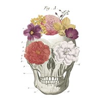 Floral Skull I Fine Art Print