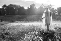 Dressing Up Fine Art Print