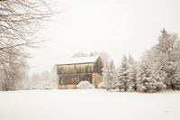 First snow Fine Art Print