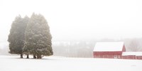 Winter Farm Fine Art Print