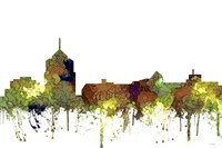 Roanoke Virginia Skyline - Safari Buff Fine Art Print