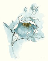 Carols Roses V Blue Fine Art Print