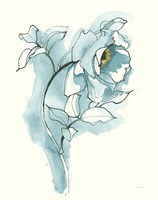 Carols Roses III Cerulean Fine Art Print