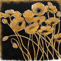 Gold Black Line Poppies I Fine Art Print