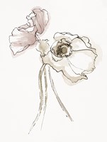 Three Somniferums Poppies Neutral II Fine Art Print