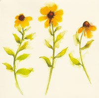 Americana Meadow Element I Fine Art Print