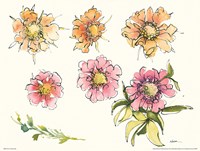 Scabiosa Bits Fine Art Print