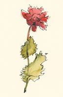 Somn Bits I Fine Art Print