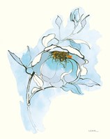 Carols Roses V Blue Fine Art Print