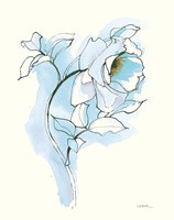 Carols Roses III Blue Fine Art Print