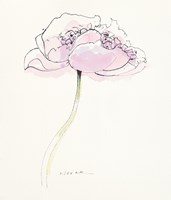 Single Pink Somniferum II Fine Art Print