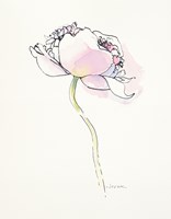 Single Pink Somniferum I Fine Art Print