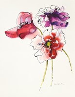 Three Somniferums Poppies Fine Art Print