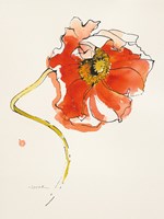 Red Icelands II Fine Art Print