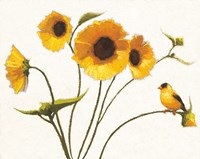 Sunny Flowers on White Fine Art Print