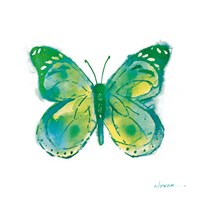 Birdsong Garden Butterfly I on White Fine Art Print