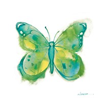 Birdsong Garden Butterfly II on White Framed Print